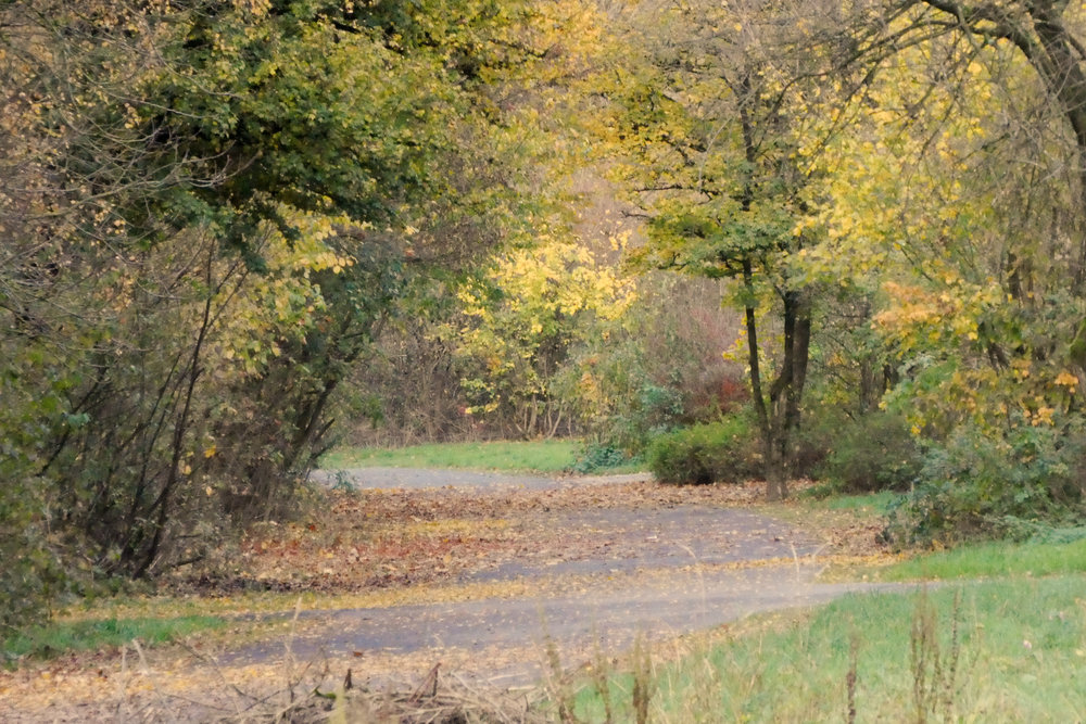 Dirt-Bike-Strecke